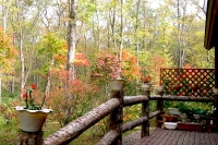 masyuen_autumn_5_0278