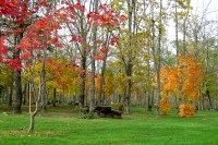 masyuen_autumn_5_0279