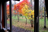 masyuen_autumn_5_0283