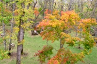 masyuen_autumn_5_0285