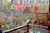 masyuen_autumn_5_0291