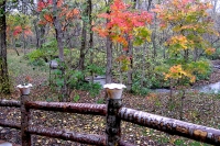 masyuen_autumn_5_0292