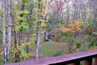 masyuen_autumn_5_0294