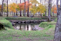 masyuen_autumn_5_0295