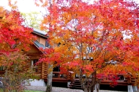 masyuen_autumn_5_0297