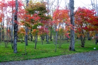 masyuen_autumn_5_0298