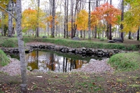 masyuen_autumn_5_0300