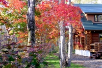 masyuen_autumn_5_0302