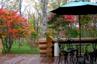 masyuen_autumn_5_0303