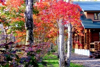 masyuen_autumn_5_0305