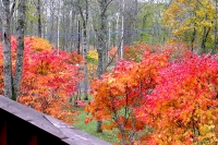 masyuen_autumn_5_0307