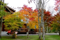 masyuen_autumn_5_0315
