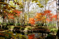 masyuen_autumn_5_0316
