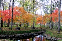 masyuen_autumn_5_0322