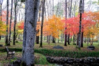 masyuen_autumn_5_0324