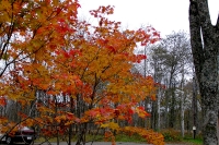 masyuen_autumn_5_0344