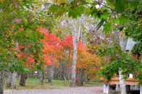 masyuen_autumn_5_0493
