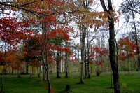 masyuen_autumn_6_0064