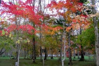 masyuen_autumn_6_0066