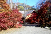 masyuen_autumn_6_0168