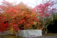masyuen_autumn_6_0209