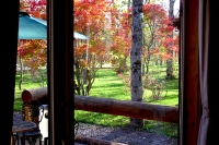 masyuen_autumn_6_0272