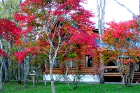 masyuen_autumn_6_0274