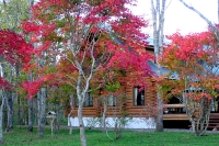 masyuen_autumn_6_0276