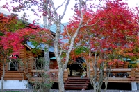 masyuen_autumn_6_0279