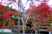 masyuen_autumn_6_0281