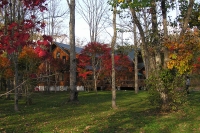 masyuen_autumn_6_0282