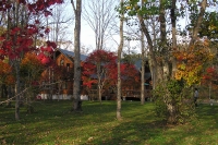 masyuen_autumn_6_0284