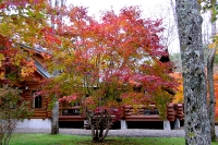 masyuen_autumn_6_0287