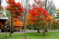 masyuen_autumn_6_0290