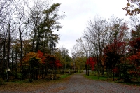 masyuen_autumn_6_0298