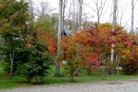 masyuen_autumn_6_0299