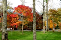 masyuen_autumn_6_0307