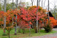 masyuen_autumn_6_0308