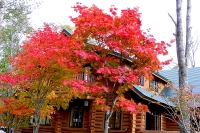 masyuen_autumn_6_0311