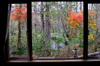 masyuen_autumn_6_0315