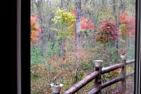 masyuen_autumn_6_0319