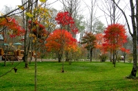 masyuen_autumn_6_0351