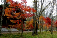 masyuen_autumn_6_0404