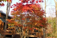 masyuen_autumn_6_0420