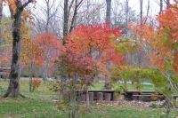 masyuen_autumn_6_0434
