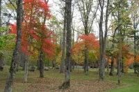 masyuen_autumn_6_0486