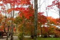masyuen_autumn_4_0047